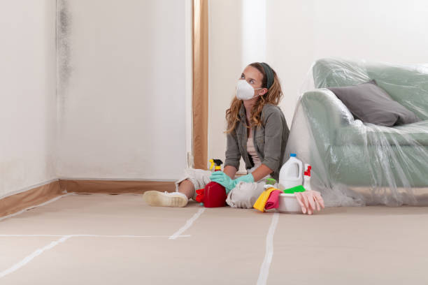 Reliable Mold Remediation contractor in Grandville, MI by WQB Mold Removal