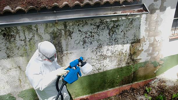 Top rated local Mold Remediation specialists in Grandville, MI